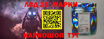 соль ск Новодвинск
