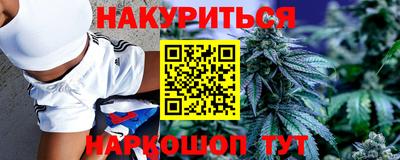 прущие грибы Новокубанск