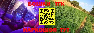 прущие грибы Новокубанск