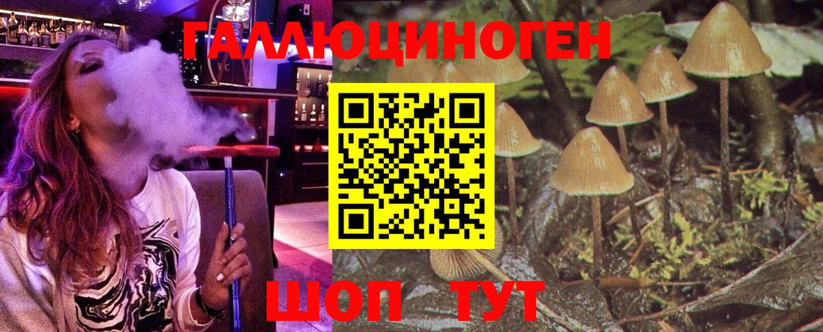 Удомля  Галлюциногенные грибы Psilocybe  Вход с VPN  Псилоцибиновые грибы мухоморы 