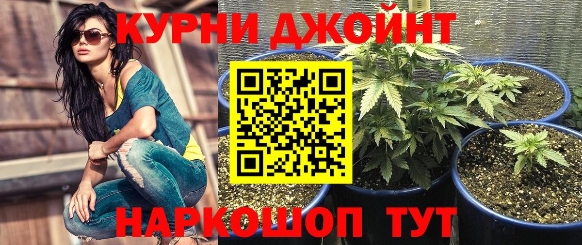 Бошки марихуана VHQ  Каннабис ГИДРОПОН  Удомля  Вход с VPN  Марихуана LSD WEED  Бошки Шишки Bruce Banner 